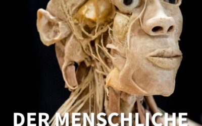 Der menschliche Körper